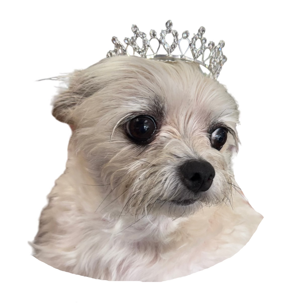 Dasha - Princess Crown