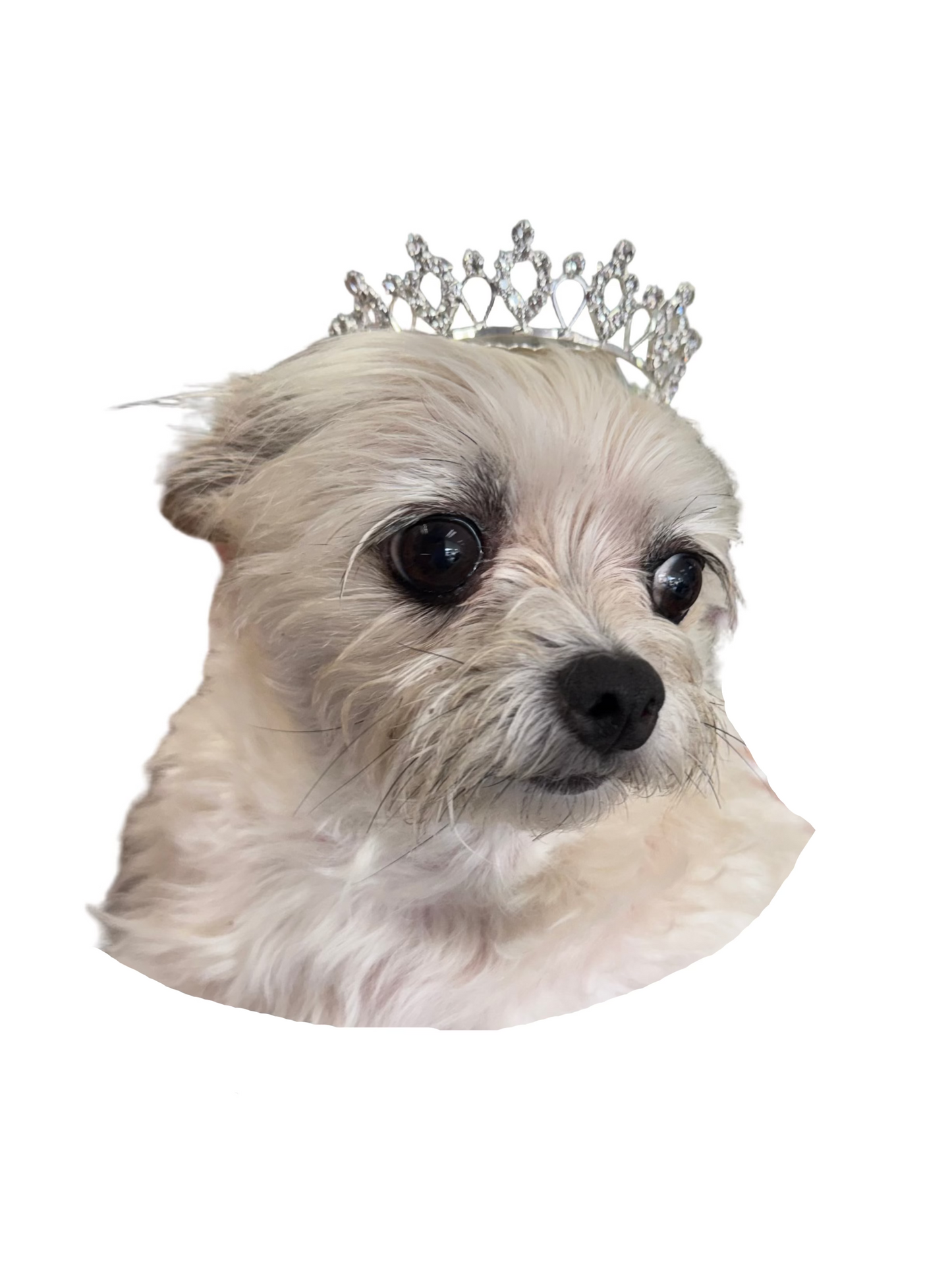 Dasha - Princess Crown