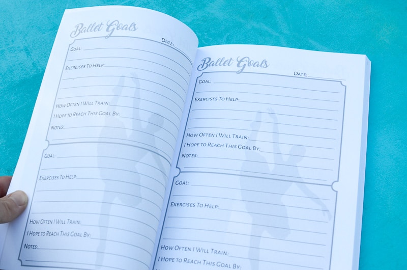 
                  
                    Circus Unicorn Shop - The Ballerina's Journal
                  
                